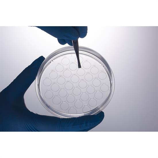 Piastra Petri JET CellSLIP Cpiastra Petri con Cell Slide - 6 cm x 12