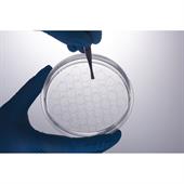 Piastra Petri JET CellSLIP Cpiastra Petri con Cell Slide - 6 cm x 12