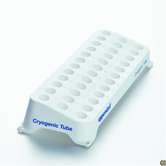 Porta-provette – Eppendorf  Rack per Provette Eppendorf, PP, bianco,