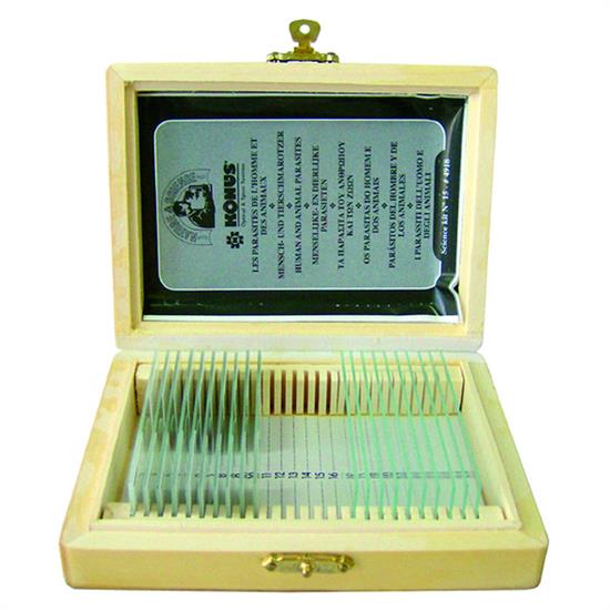 Vetrini preparati per Il corpo umano, tessuti patologici II